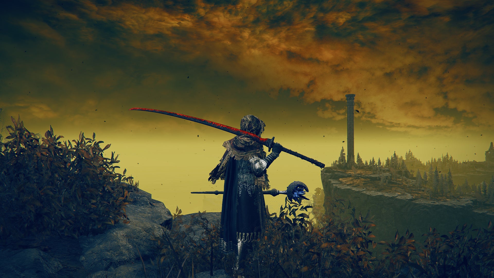 Elden Ring: Shadow Of The Erdtree screenshot of the Tarnished wielding Rakshasa&rsquo;s Great Katana on a clifftop.