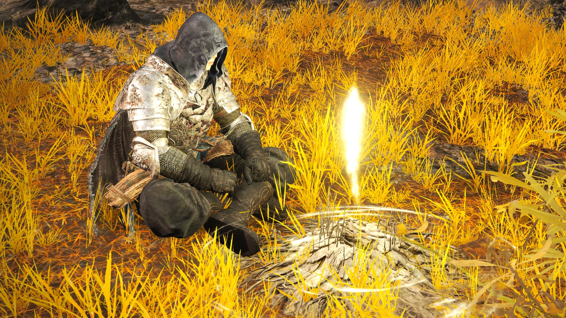 The player in Elden Ring sits next to a Site Of Grace in a field of golden wheat. - 1