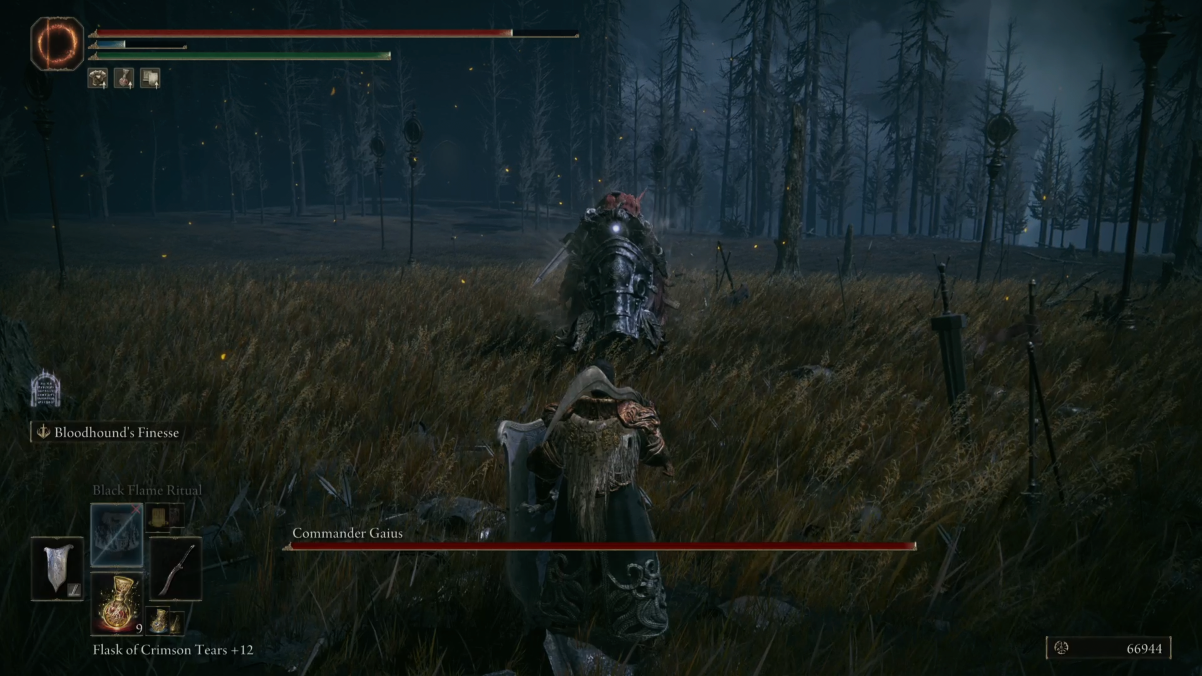 Preparing for Commander Gaius as boar charges towards Tarnished