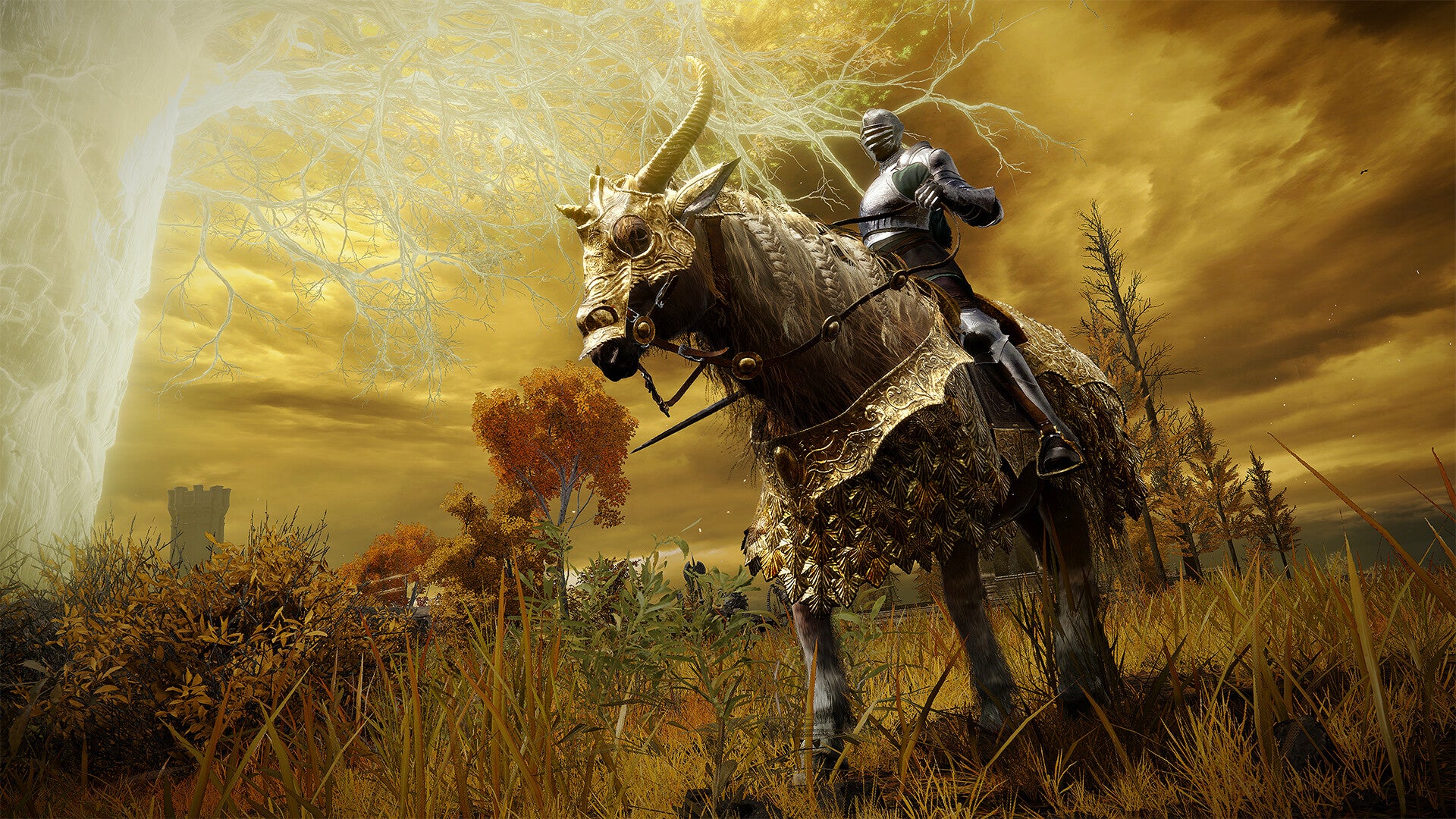 FromSoftware ukróciło duplikację przedmiotów z kontrowersyjnego DLC do Elden Ring