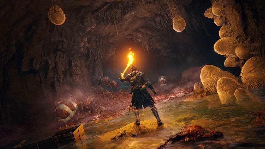 A Tarnished in Elden Ring raises a torch in a cave filled with eggs and giant ants.