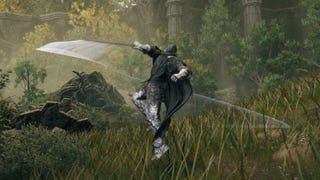 The player in Elden Ring: Shadow Of The Erdtree uses the Wing Stance Skill to slash their sword through the air in a grassy forest.