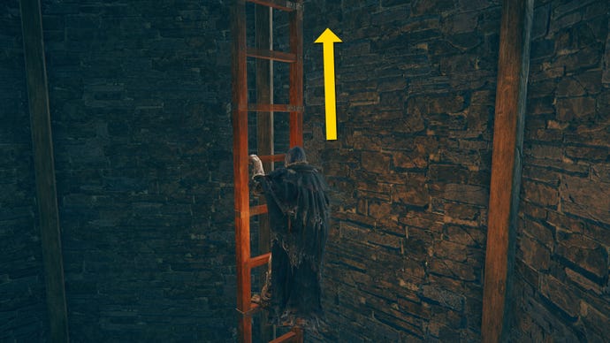 The player in Elden Ring: Shadow Of The Erdtree climbs a ladder to the top of a tower.