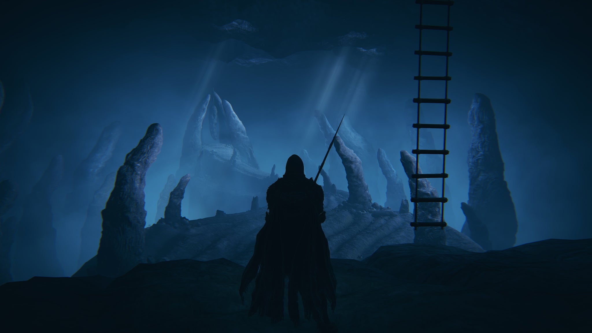 The player in Elden Ring: Shadow Of The Erdtree stands before some hidden Finger Ruins after descending a ladder. - 13
