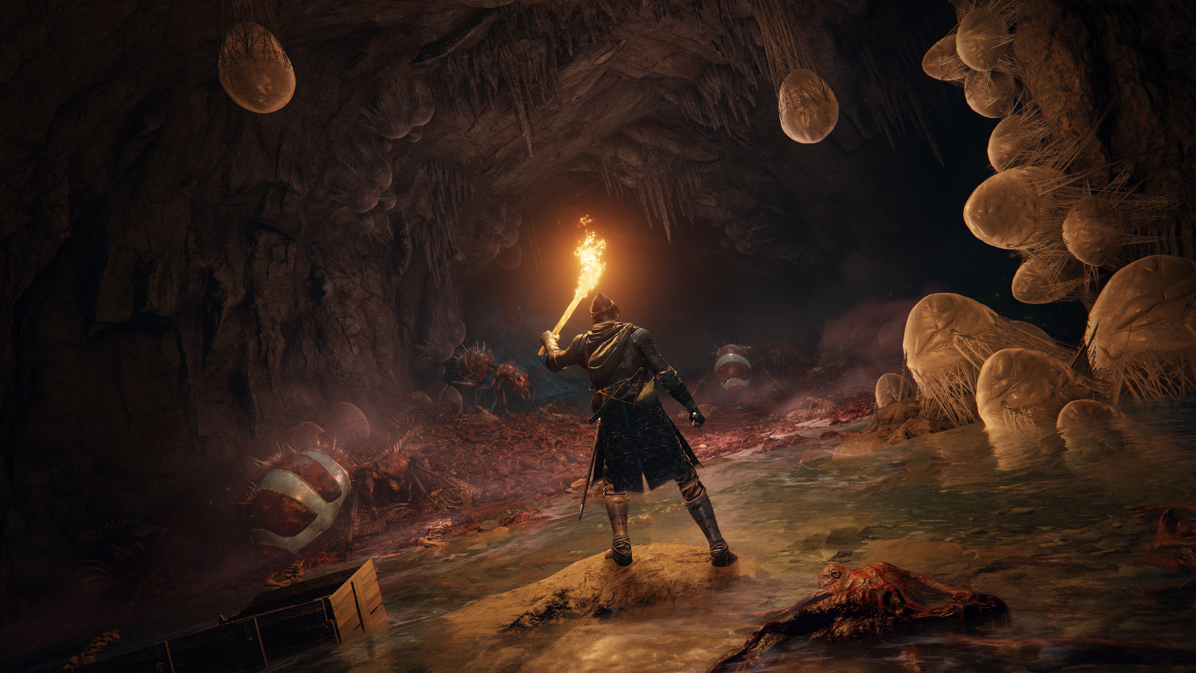 Elden Ring beta hands on Potential co op greatness in