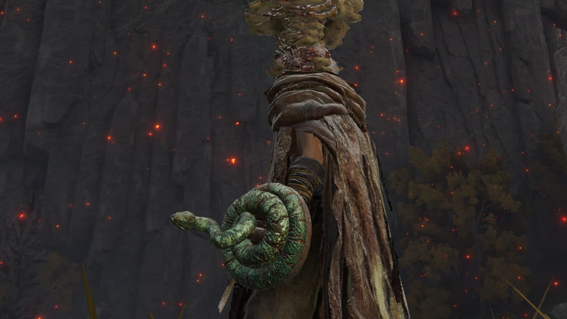 Character screenshot from Elden Ring showing the Coil Shield