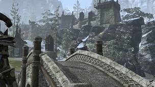 The Elder Scrolls Online's PvP developer spills many details on maps, guilds, combat & more