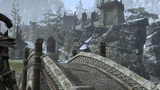 The Elder Scrolls Online's PvP developer spills many details on maps, guilds, combat & more