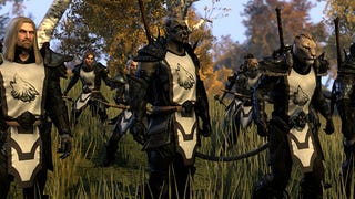 The Elder Scrolls Online update focuses on guilds and personalisation