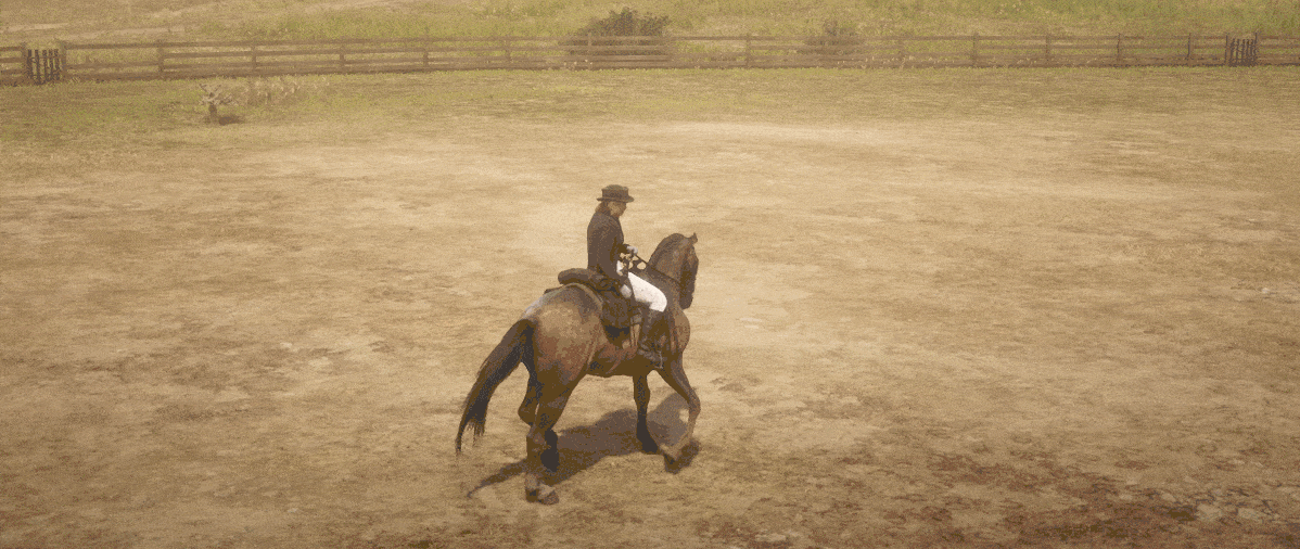 A lady on a horse in a dry and dusty yard, moving sideways with control. It&rsquo;s a bit like a sideways moonwalk. But on a horse.