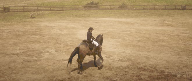 A lady on a horse in a dry and dusty yard, moving sideways with control. It's a bit like a sideways moonwalk. But on a horse.