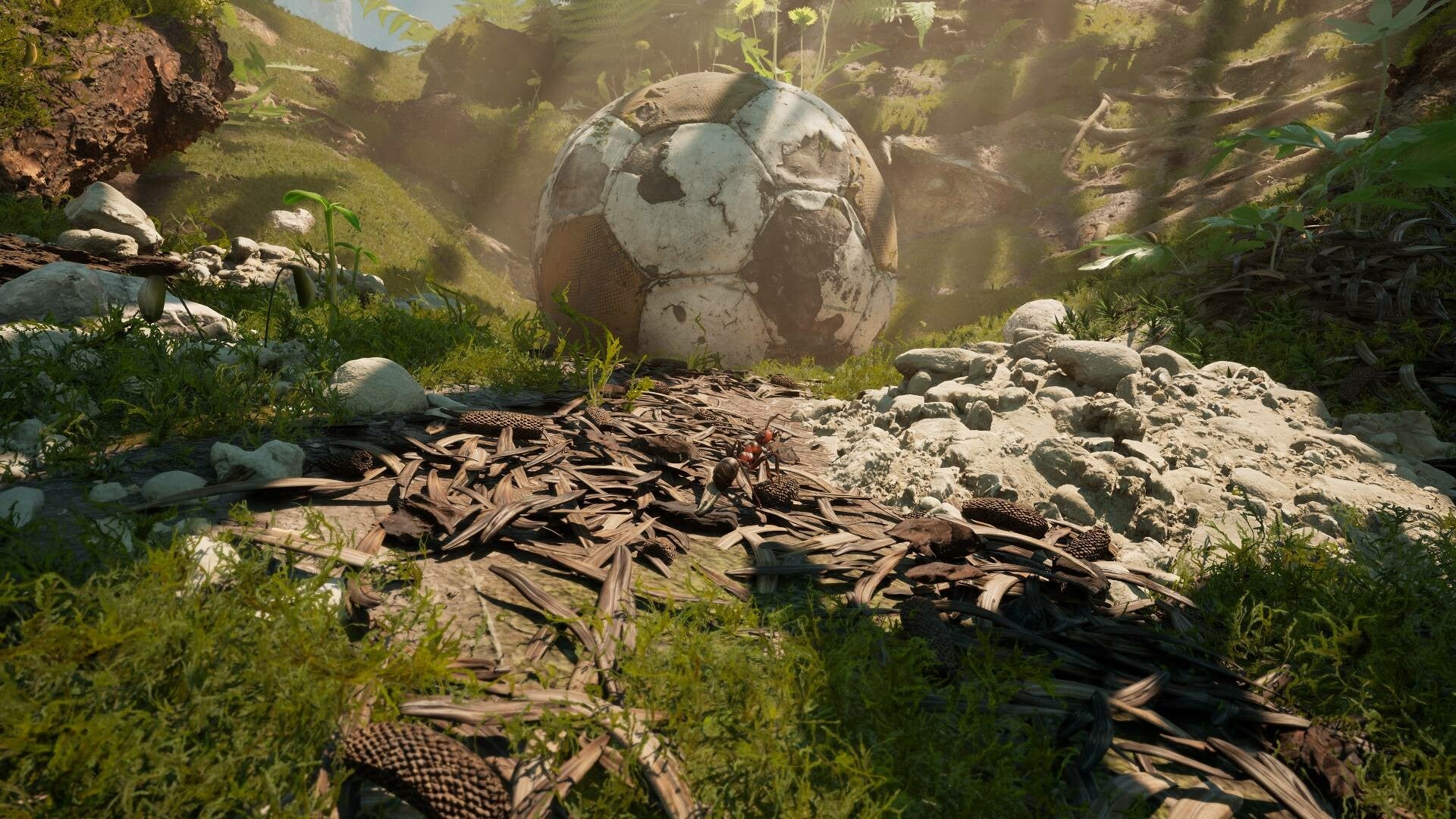 Ants approach a (to them) very large football in a forest in Empire Of The Ants. - 1