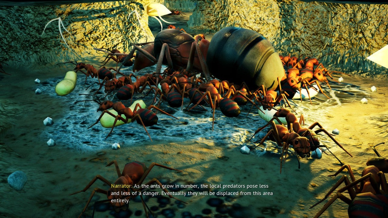 Ants crowd around a big ant in Empires Of The Undergrowth. - 3