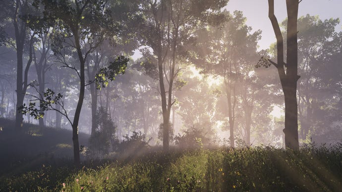 A forest in a screenshot of Enfusion, Bohemia Interactive’s new game engine.