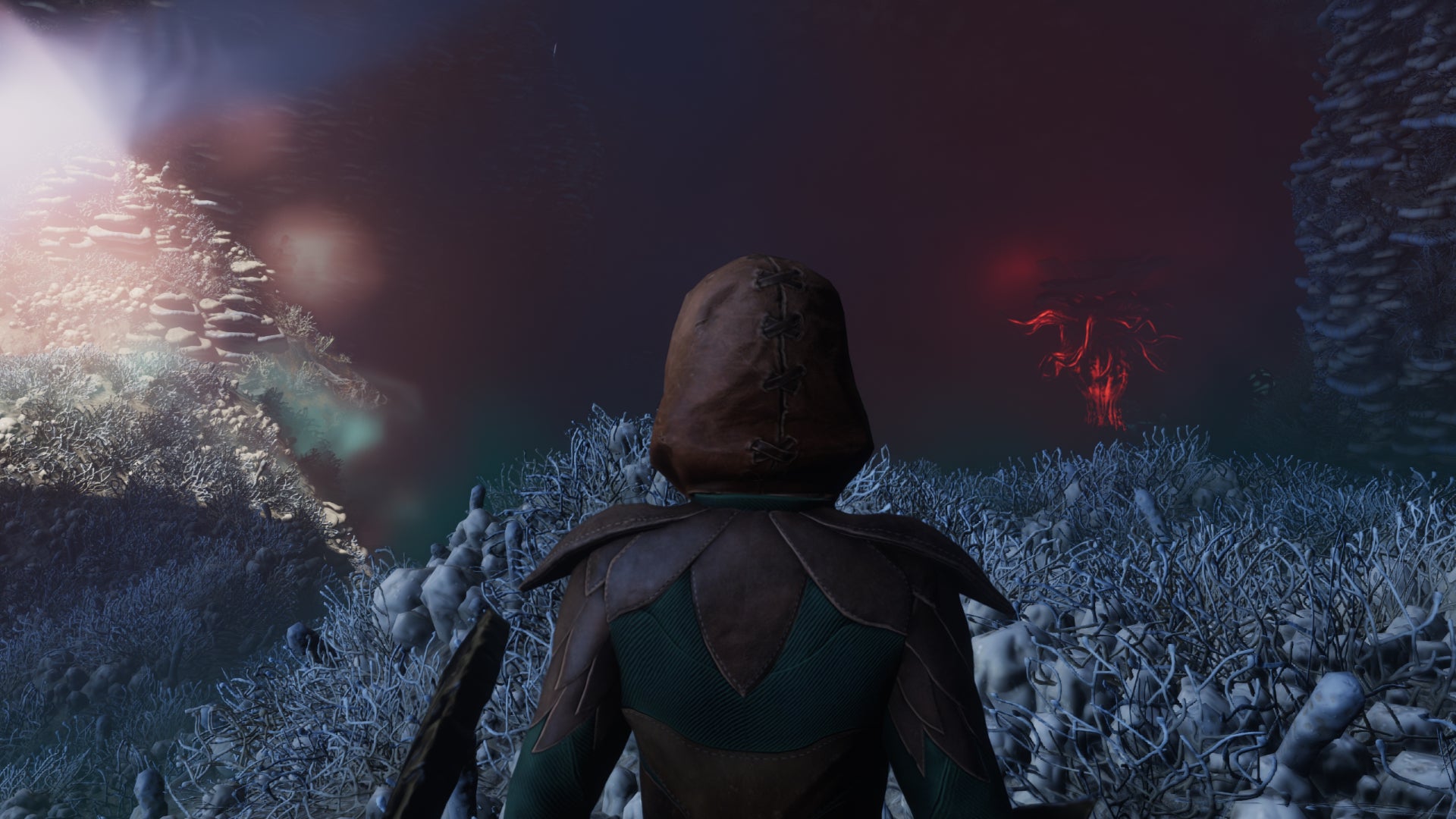 The player in Enshrouded looks into a cave filled with deadly Shroud. - 3