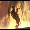 Capturas de pantalla de The Legend of Zelda: Twilight Princess HD