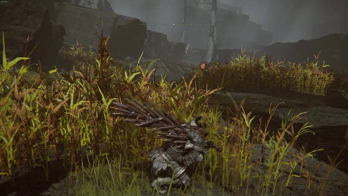 Hiding in some bushes in Elden Ring: Shadow Of The Erdtree.