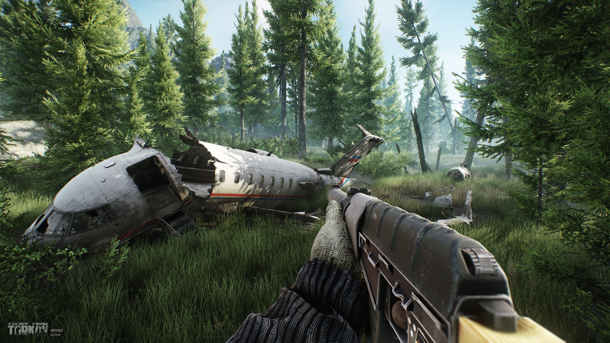 A player approaching a crashed plane in Escape From Tarkov - 26