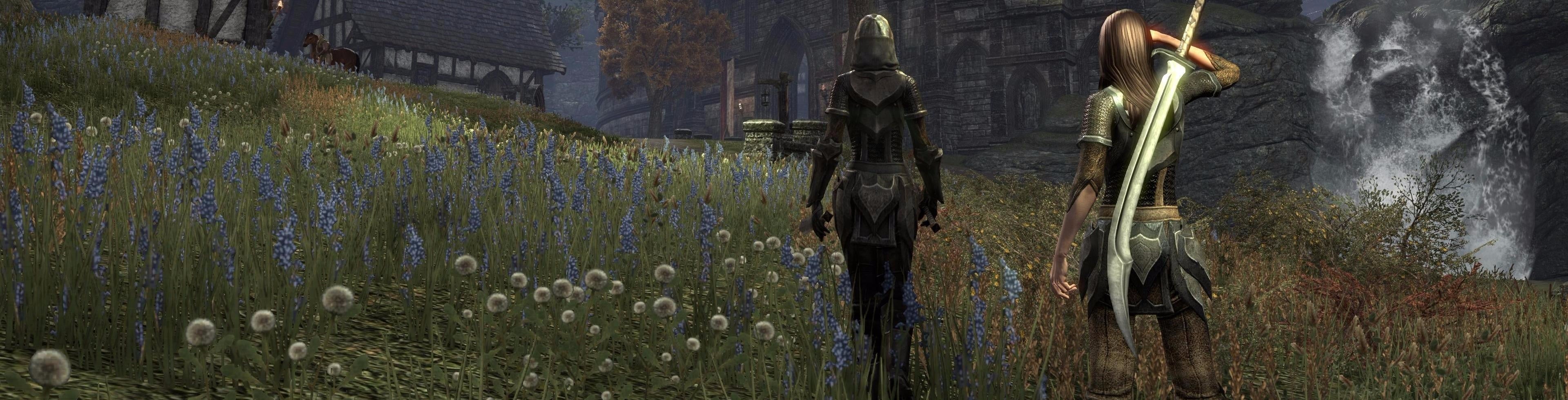 Escaping Skyrim's shadow