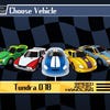 Screenshot de Rush Rush Rally Racing