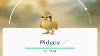 Expect to see fewer Pidgeys, Rattatas and Zubats in Pokémon Go