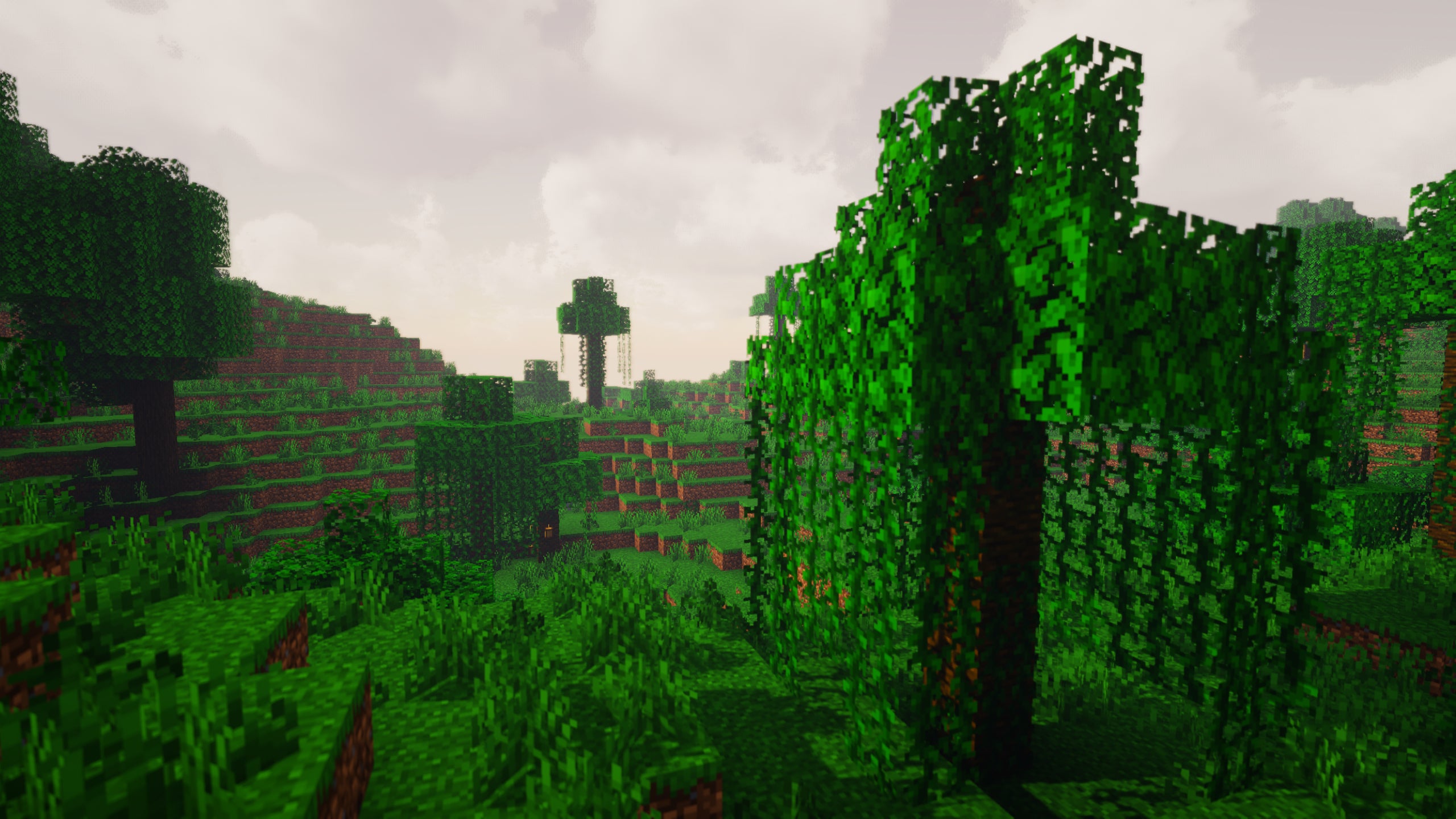 A jungle landscape in Minecraft showcasing Exposa Shaders.