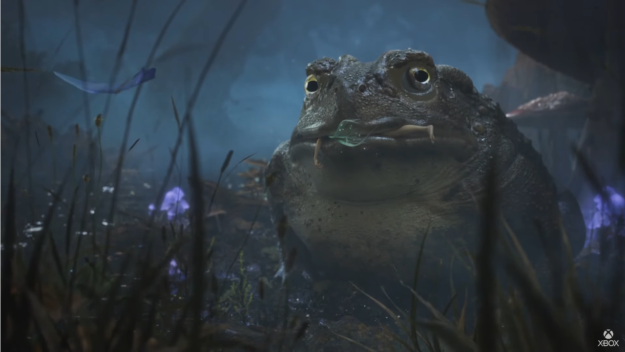 Xbox has revealed Fable from Forza developer Playground Games