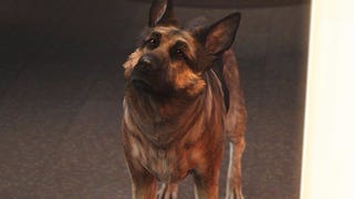Fallout 4 mod dovoluje hrát za psa