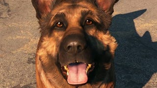 Fallout 4: Vejam a versão real do Dogmeat