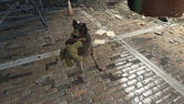 The Fallout 4 companion, Dogmeat, holding a teddy bear in their mouth outside of Diamond City.