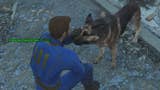 Fallout 4 - Ochłap, gdzie znaleźć psa
