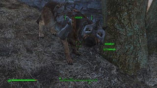 Fallout 4: where to find a full set of armor for Dogmeat