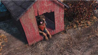 Best Fallout 4 settlement locations for building your dream home