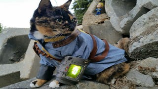 Vault Cat proves felines aren't extinct in the Fallout universe after all 