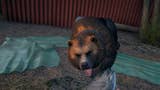 Far Cry 5 - Como obter X-burger, o urso, qual a sua Localização e Habilidades
