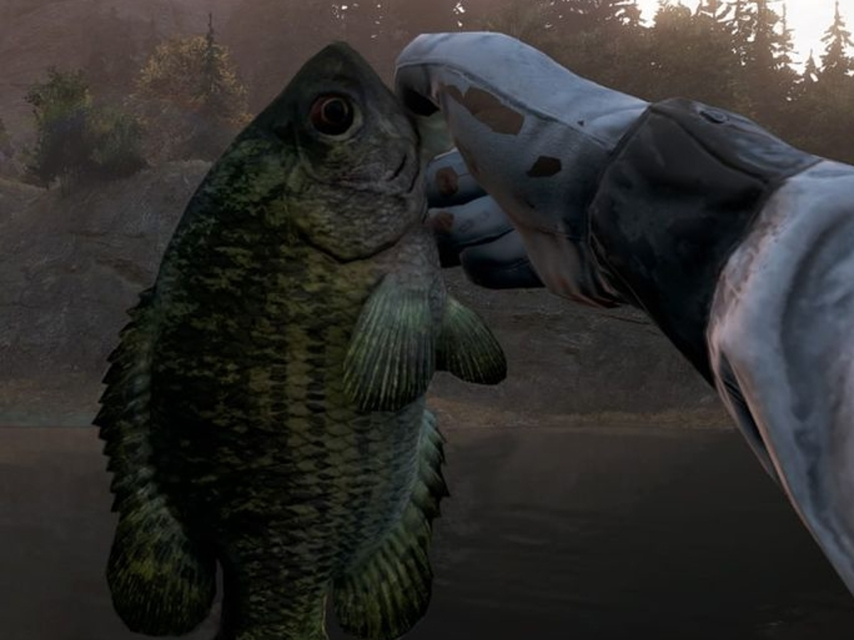 Far Cry 5 fishing: How to fish, where to unlock all fishing rods and find  all hard fishing spots