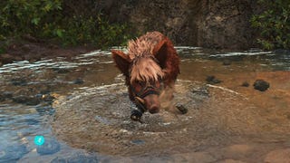 Far Cry 6: Alle mythischen und normalen Tiere mit Jagdgebieten und Fundorten (Am Ende der Nahrungskette)