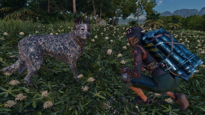 The Amigo Boom Boom in Far Cry 6.