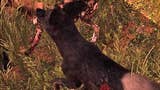 Far Cry Primal - Pomoc Łińdźa: Polowanie