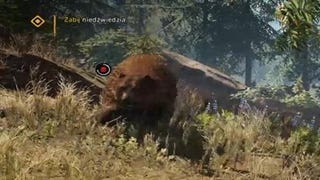 Far Cry Primal - Misja: Wizja lodu; Na polowaniu