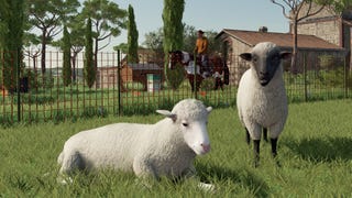 A Farming Simulator 22 screenshot showing sheep grazing in a field while someone rides a horse in the background.