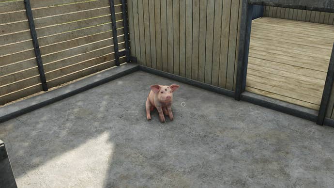 Farming Simulator 25 screenshot of a pig in a barn.