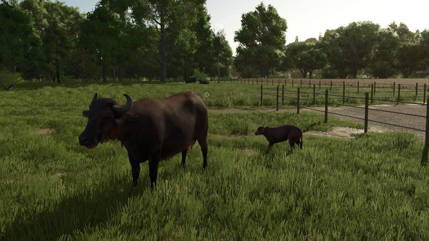 Farming Simulator 25 screenshot of a Water Buffalo and its parent.