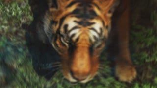 Sad Tiger: No Dedicated Servers For Far Cry 3 Multi