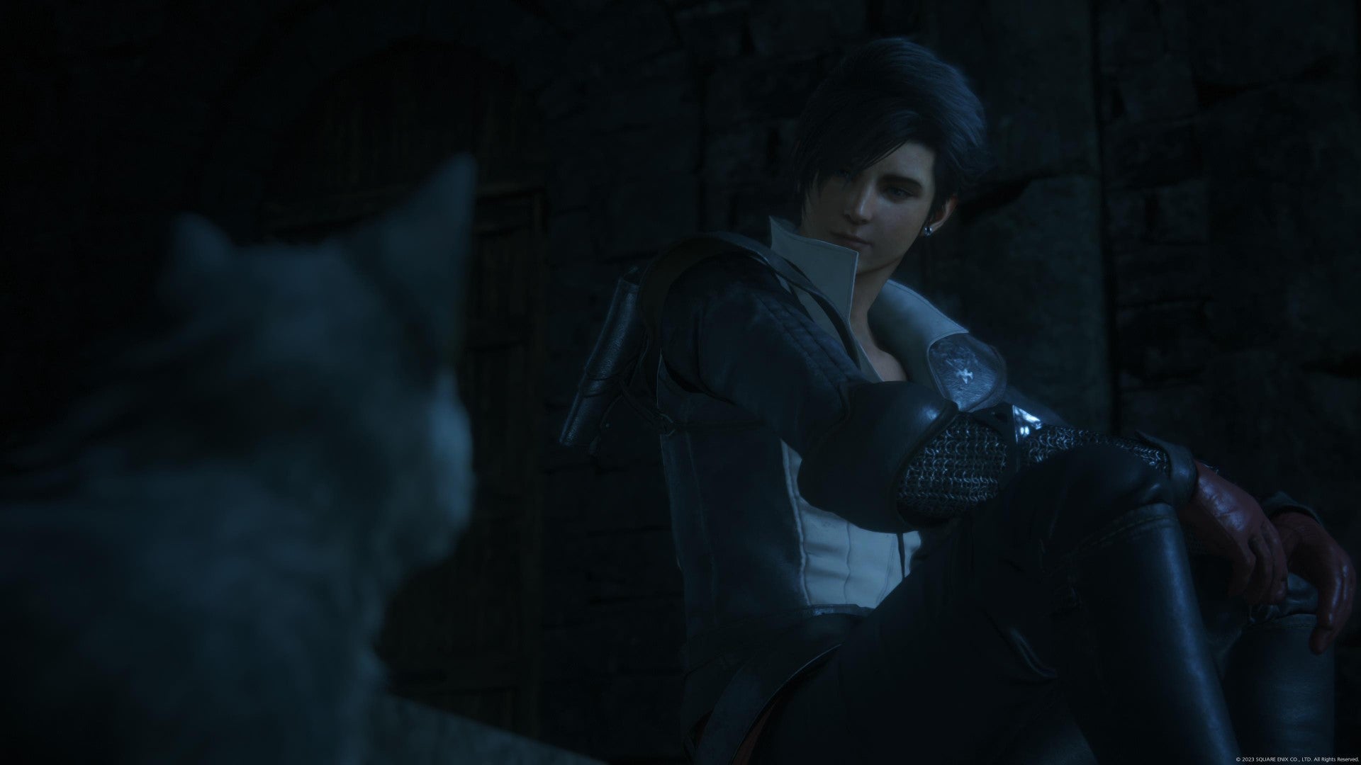 Young Clive looks at Torgal puppy