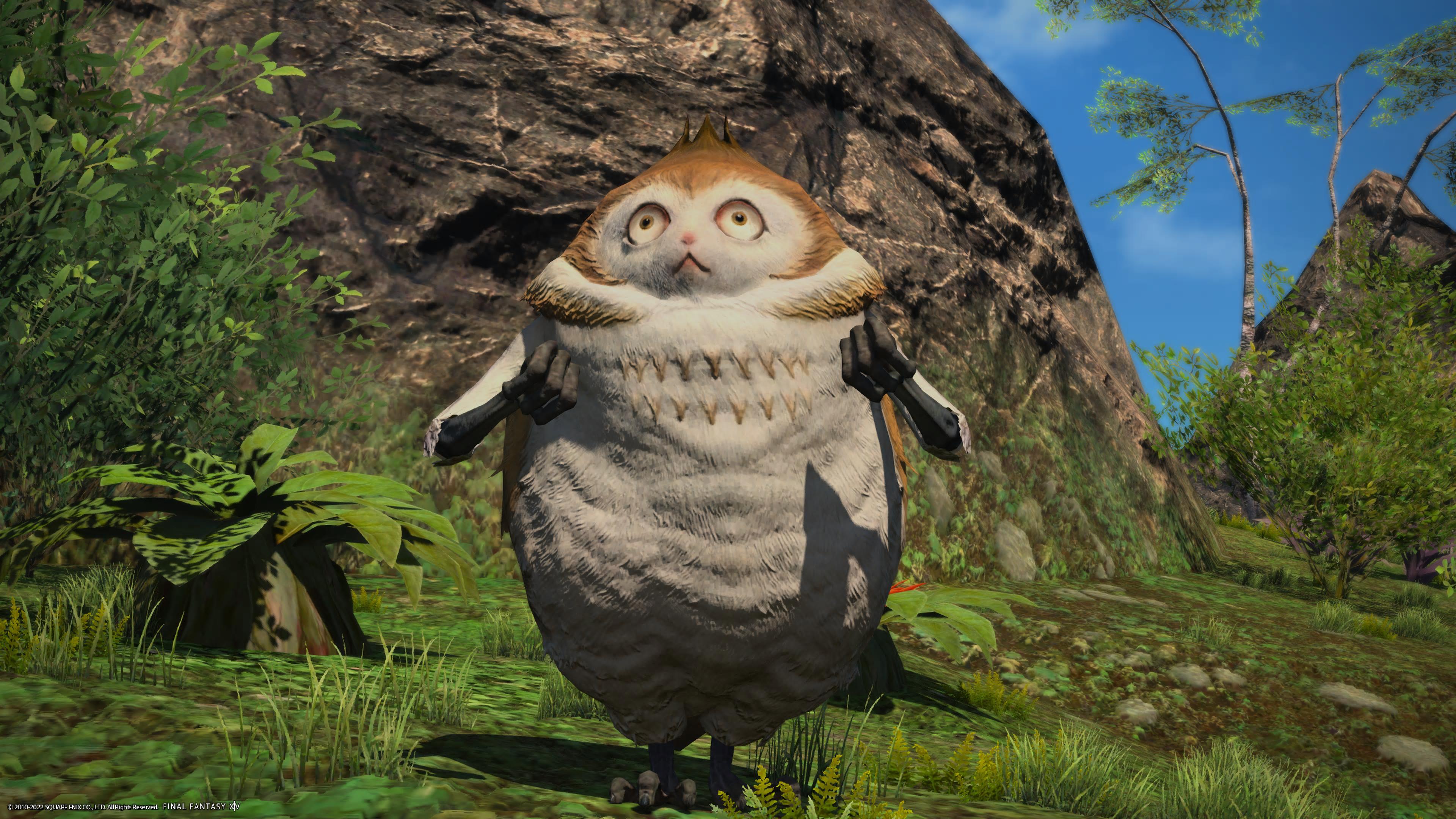 A strange owl-like creature looks mournfully at the camera in Final Fantasy XIV's Island Sanctuary