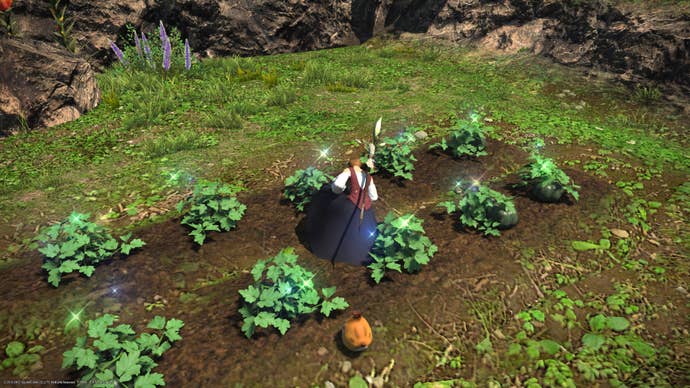 The player tends to a row of plants in a garden in Final Fantasy XIV’s Island Sanctuary