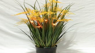 An artificial houseplant with fairy light flowers