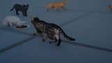 Final Fantasy 15 will let you play as a cat