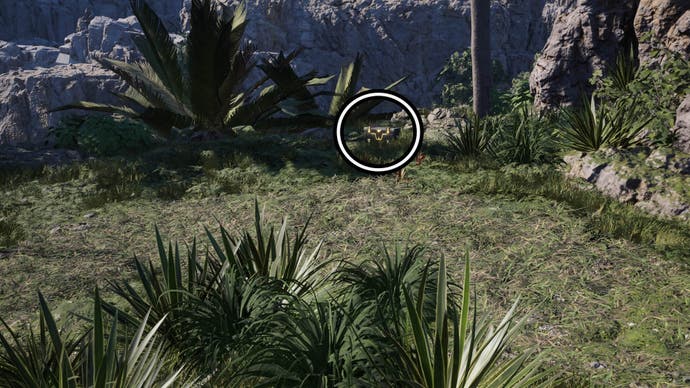 A circle highlights a reward chest in the distance, it's surrounded by green foliage.